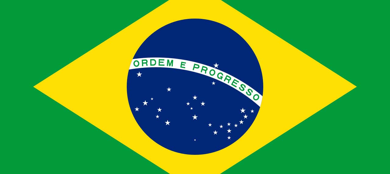 The Brazilian national flag